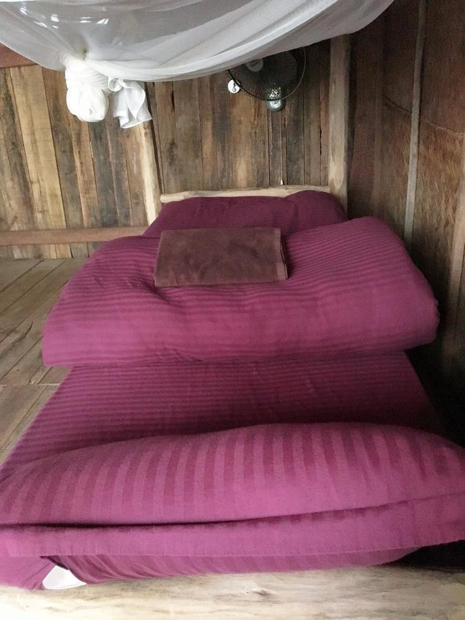 Nguyen Shack - Phong Nha Central Town Eksteriør billede