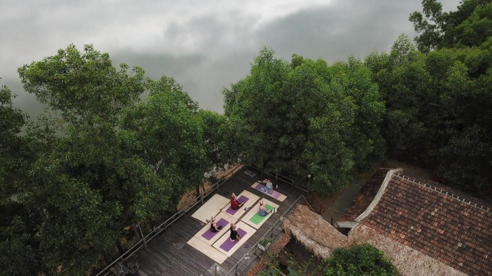 Nguyen Shack - Phong Nha Central Town Eksteriør billede